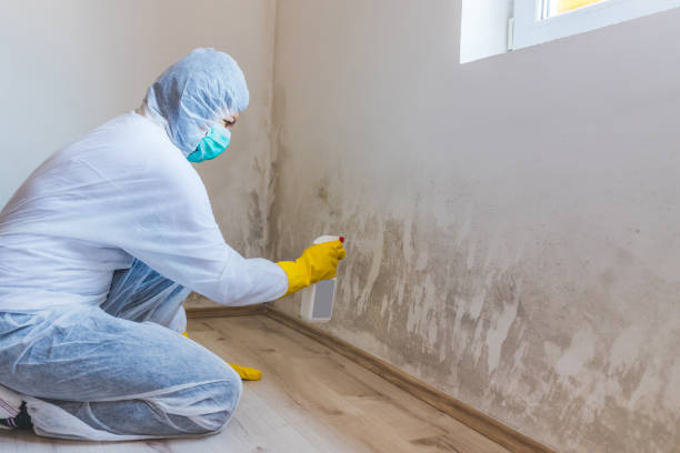 Bathroom Mold Removal assessment in Elmira bathroom